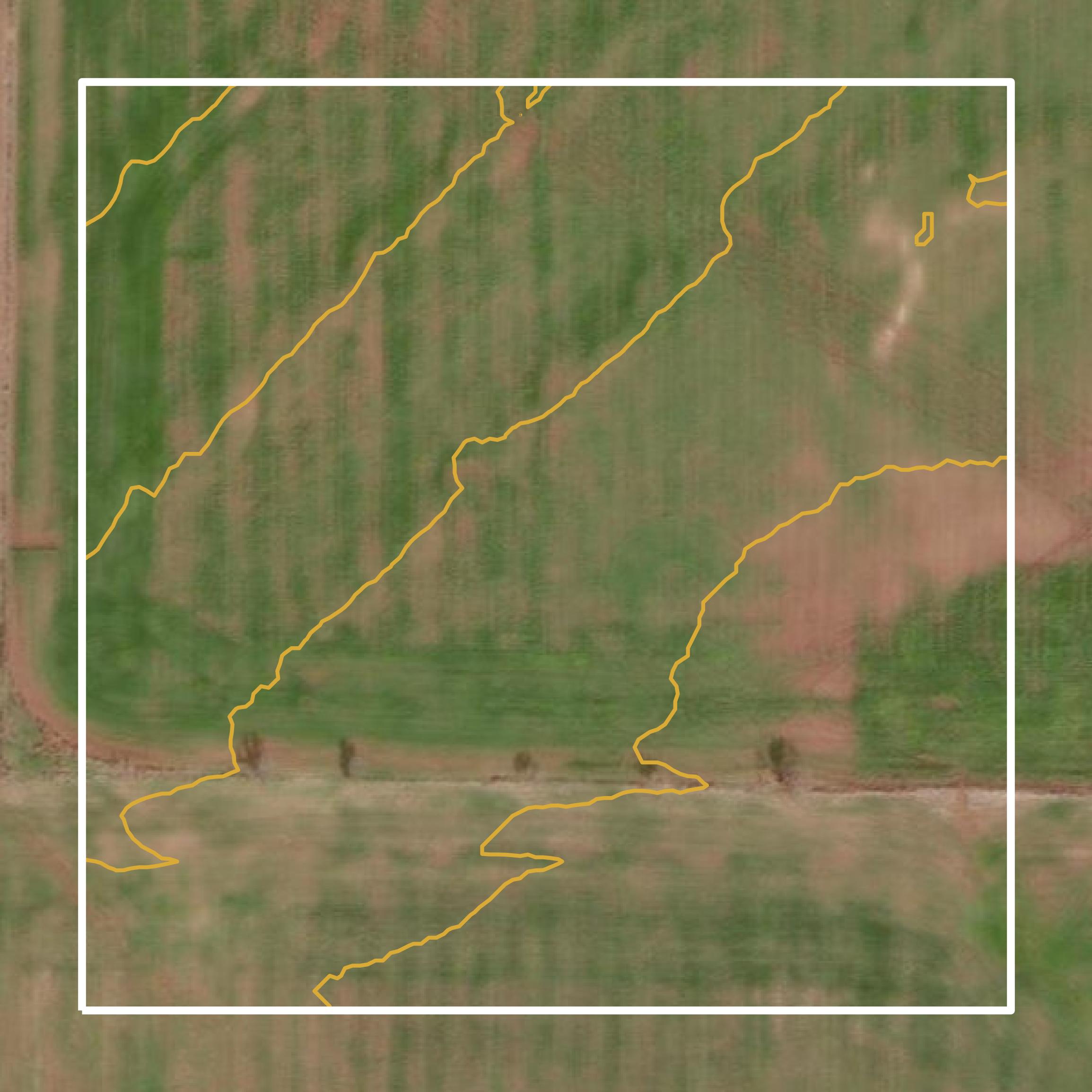 This image shows a contour map in Baylor County created using GIS data in Equator.