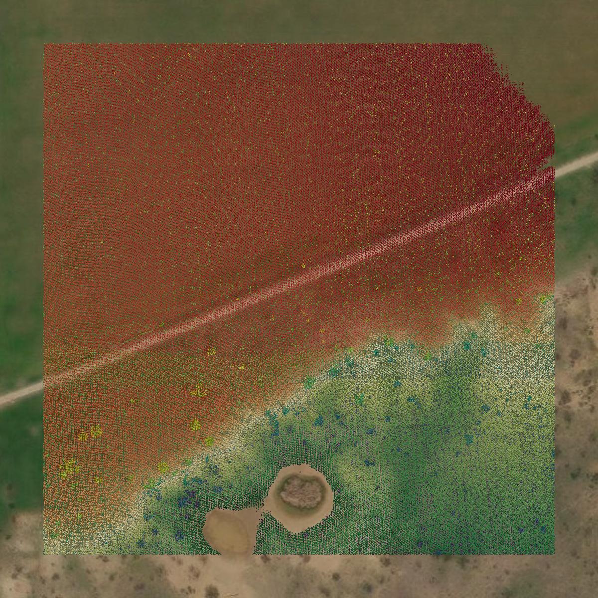 This image shows a LiDAR point cloud in Baylor County created using GIS data in Equator.