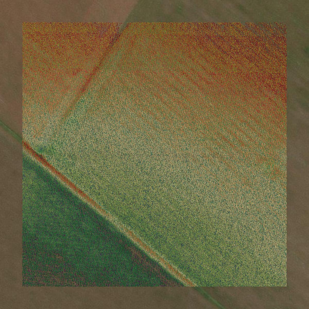 This image shows a LiDAR point cloud in Bee County created using GIS data in Equator.