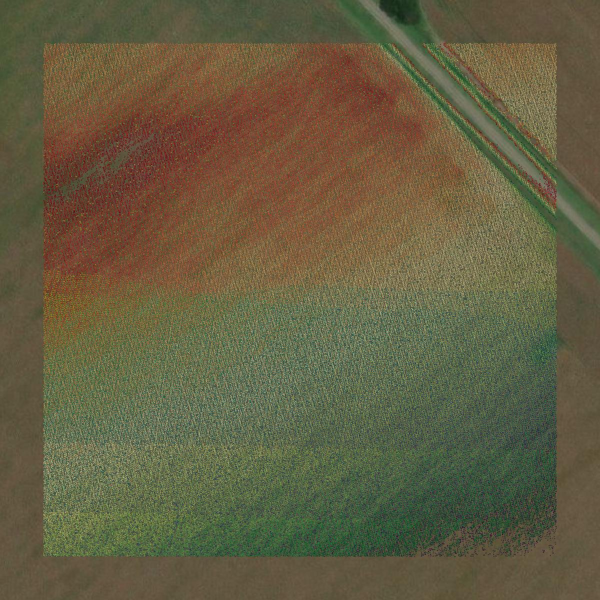 This image shows a LiDAR point cloud in Bee County created using GIS data in Equator.