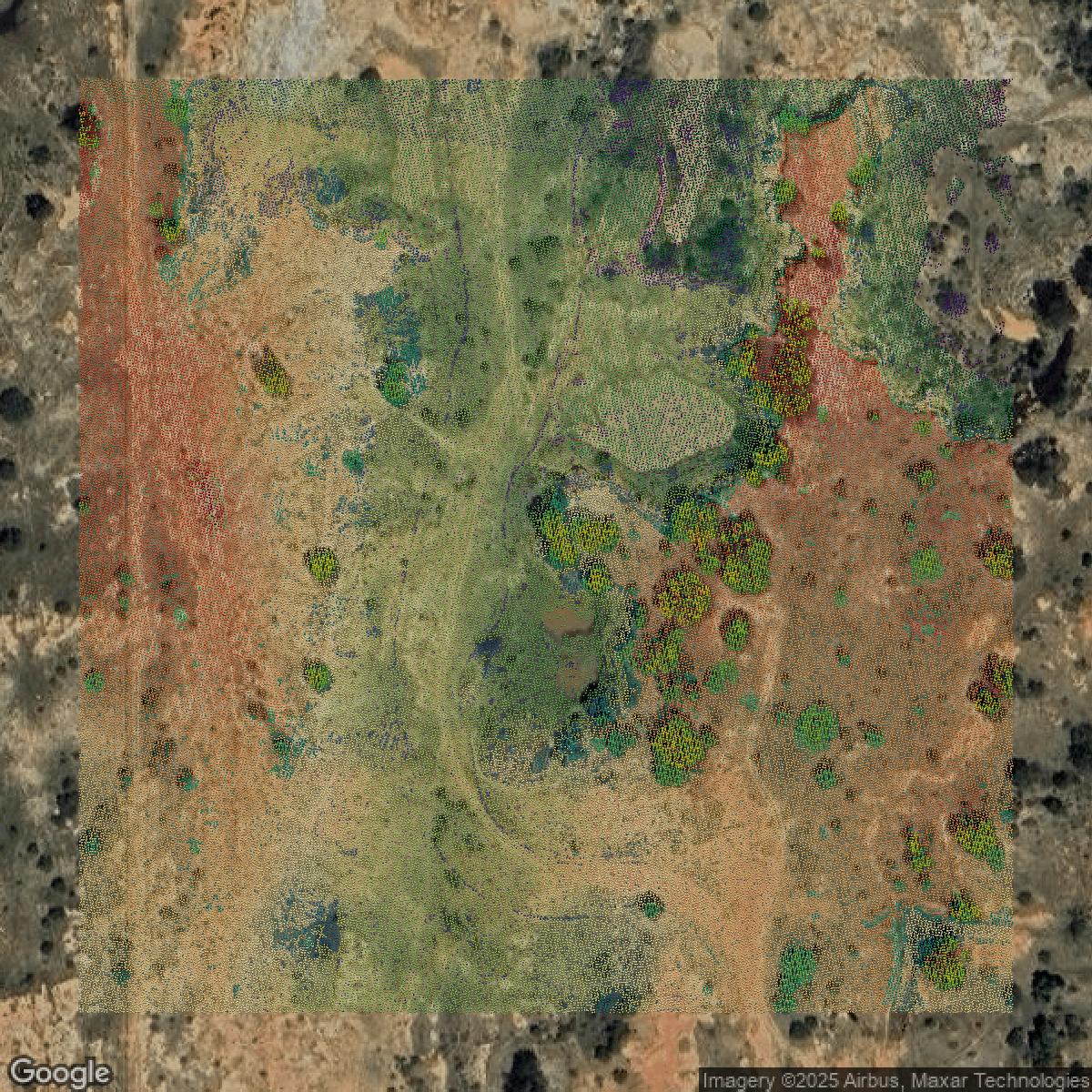 This image shows a LiDAR point cloud in Bexar County created using GIS data in Equator.