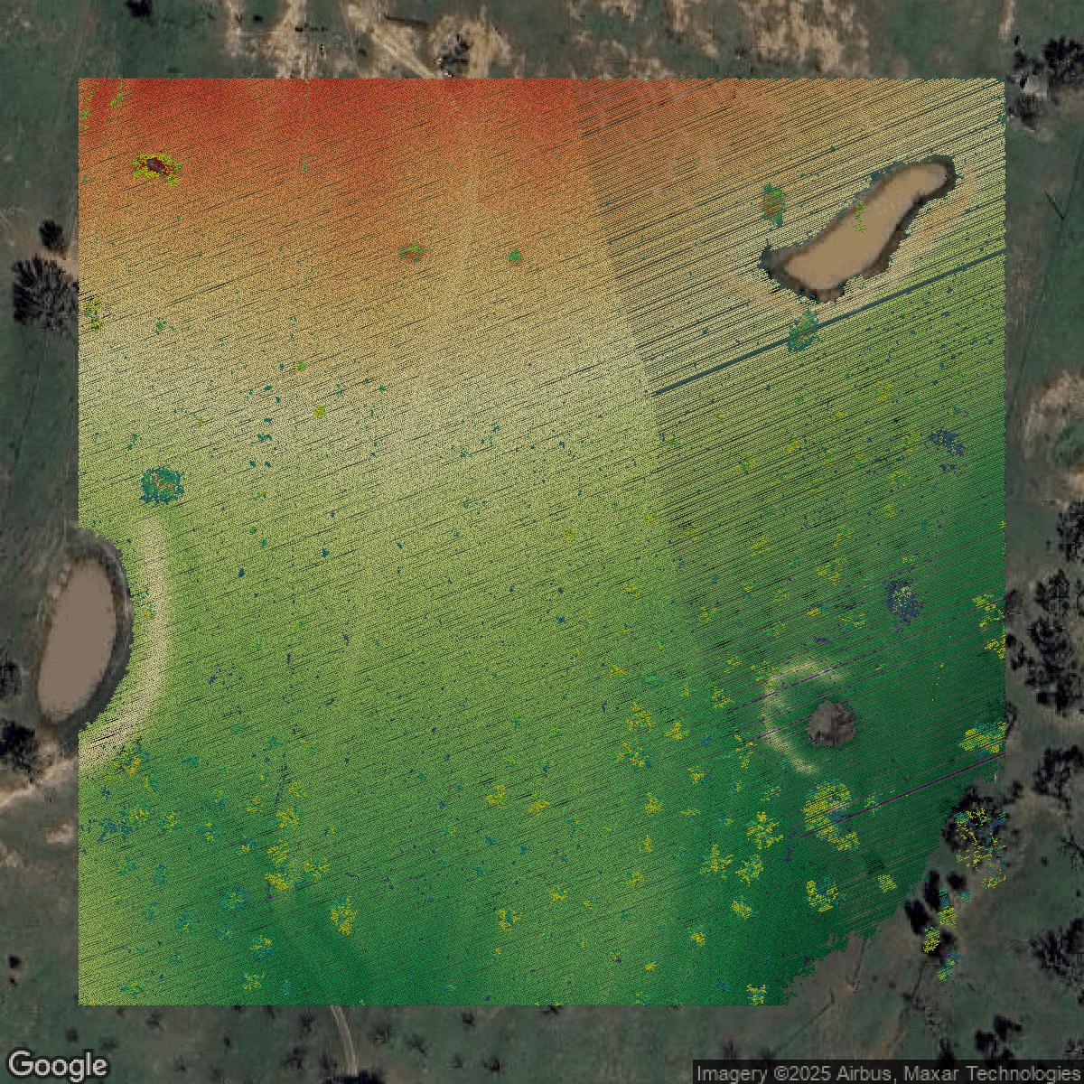 This image shows a LiDAR point cloud in Bexar County created using GIS data in Equator.