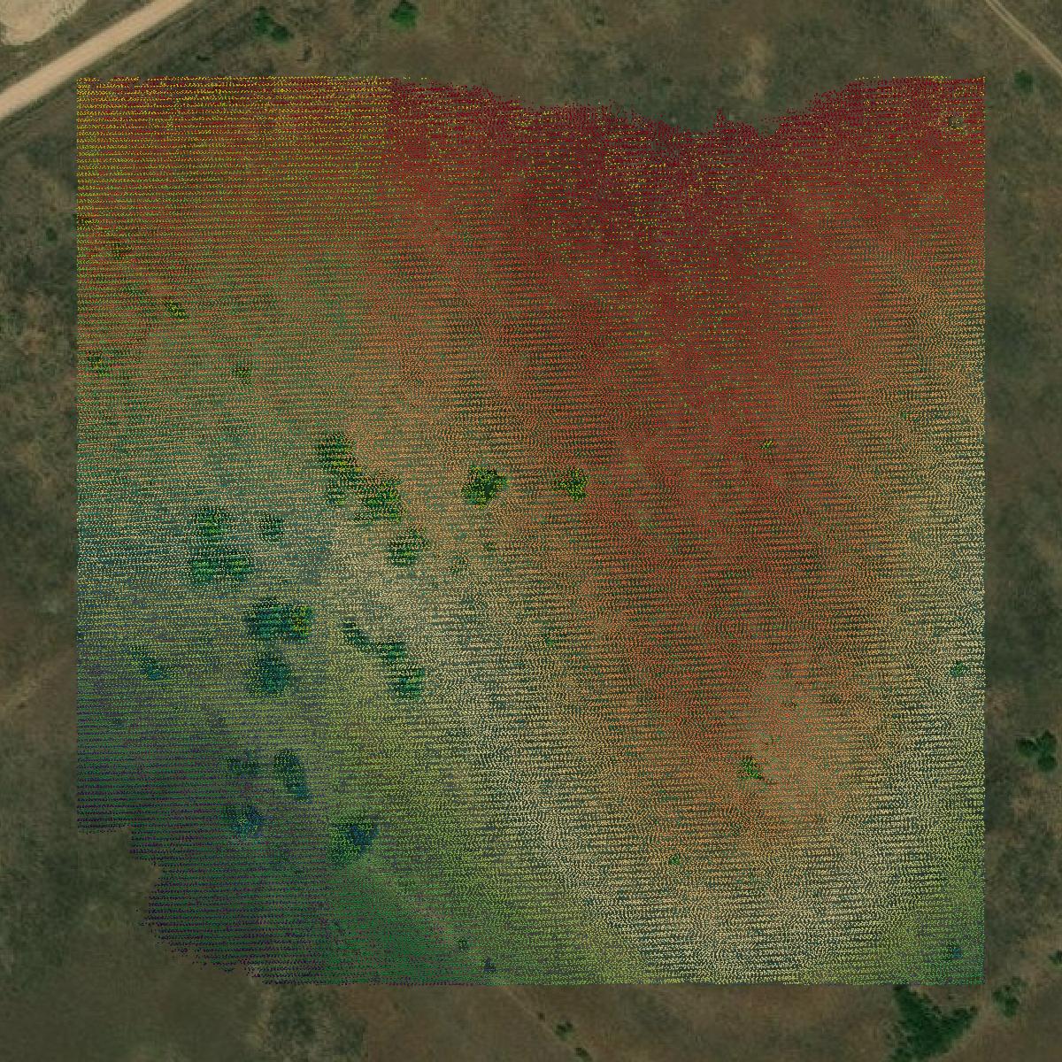 This image shows a LiDAR point cloud in Bosque County created using GIS data in Equator.