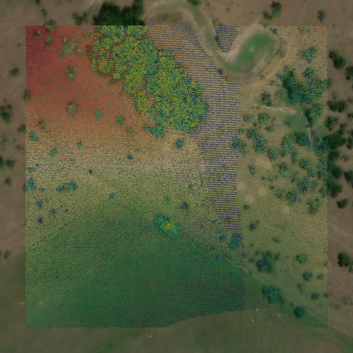 This image shows a LiDAR point cloud in Bosque County created using GIS data in Equator.