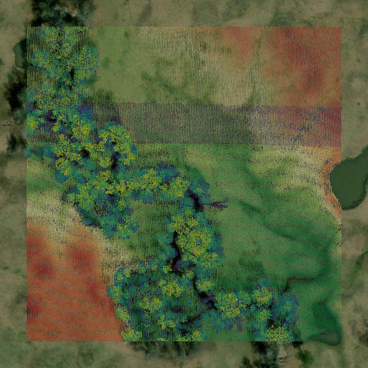 This image shows a LiDAR point cloud in Bowie County created using GIS data in Equator.