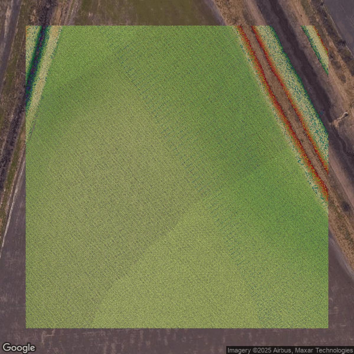 This image shows a LiDAR point cloud in Brazoria County created using GIS data in Equator.