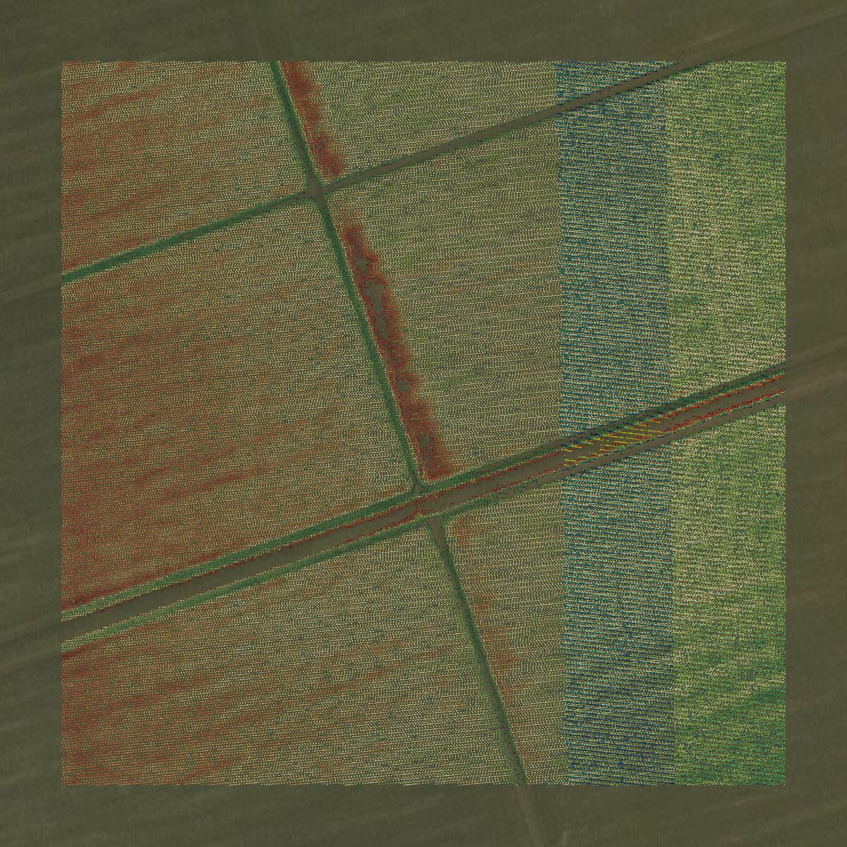 This image shows a LiDAR point cloud in Brazos County created using GIS data in Equator.