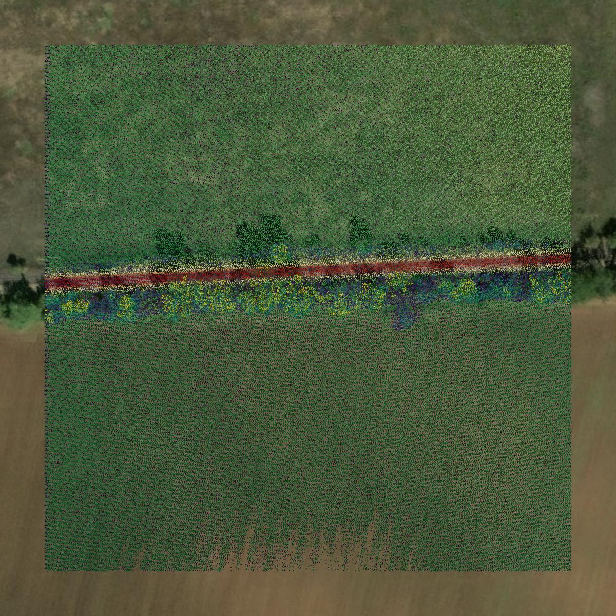 This image shows a LiDAR point cloud in Brazos County created using GIS data in Equator.