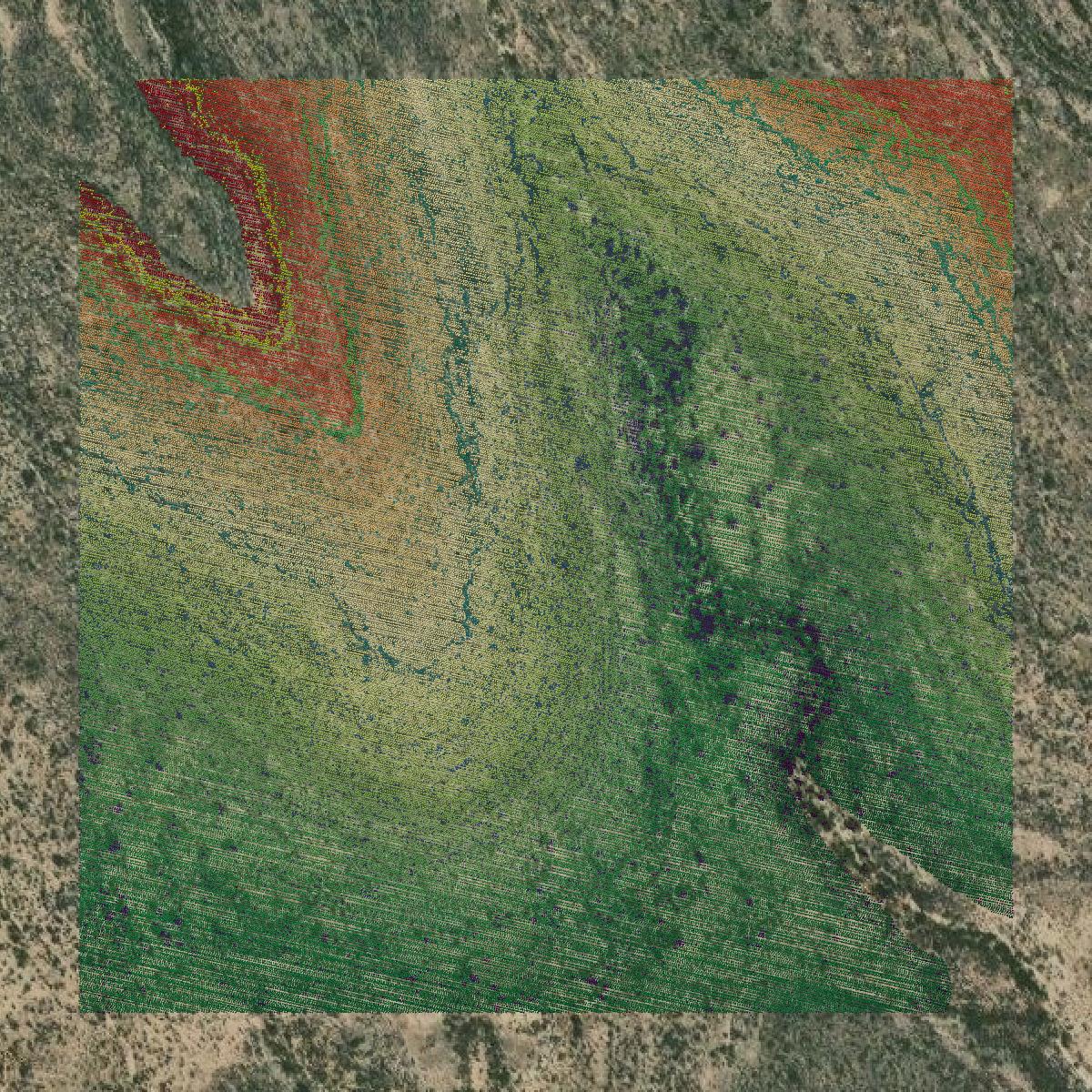 This image shows a LiDAR point cloud in Brewster County created using GIS data in Equator.
