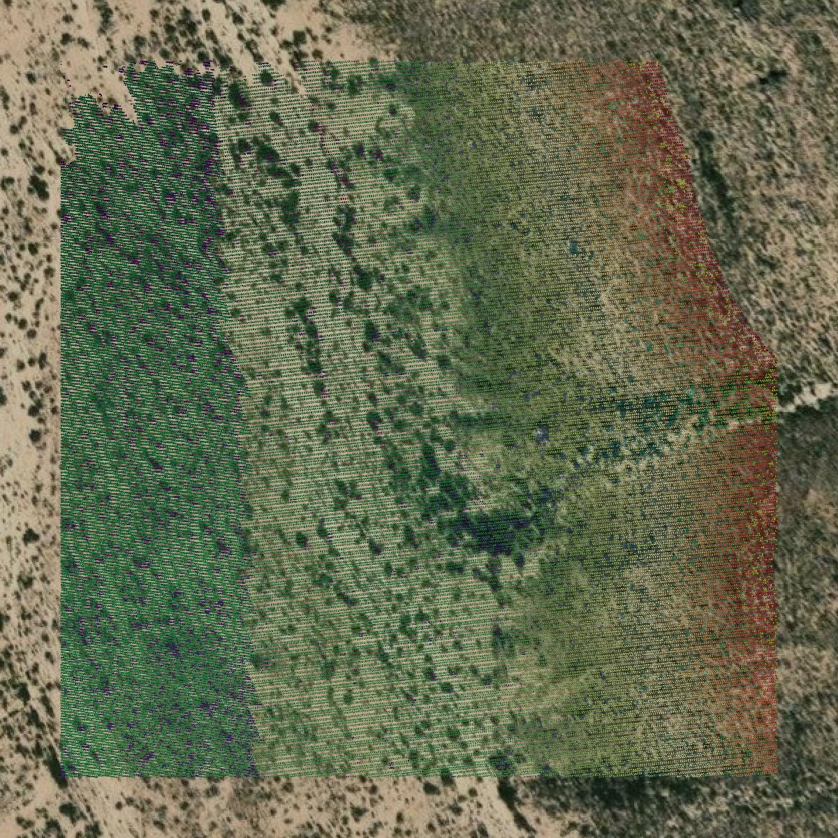 This image shows a LiDAR point cloud in Brewster County created using GIS data in Equator.