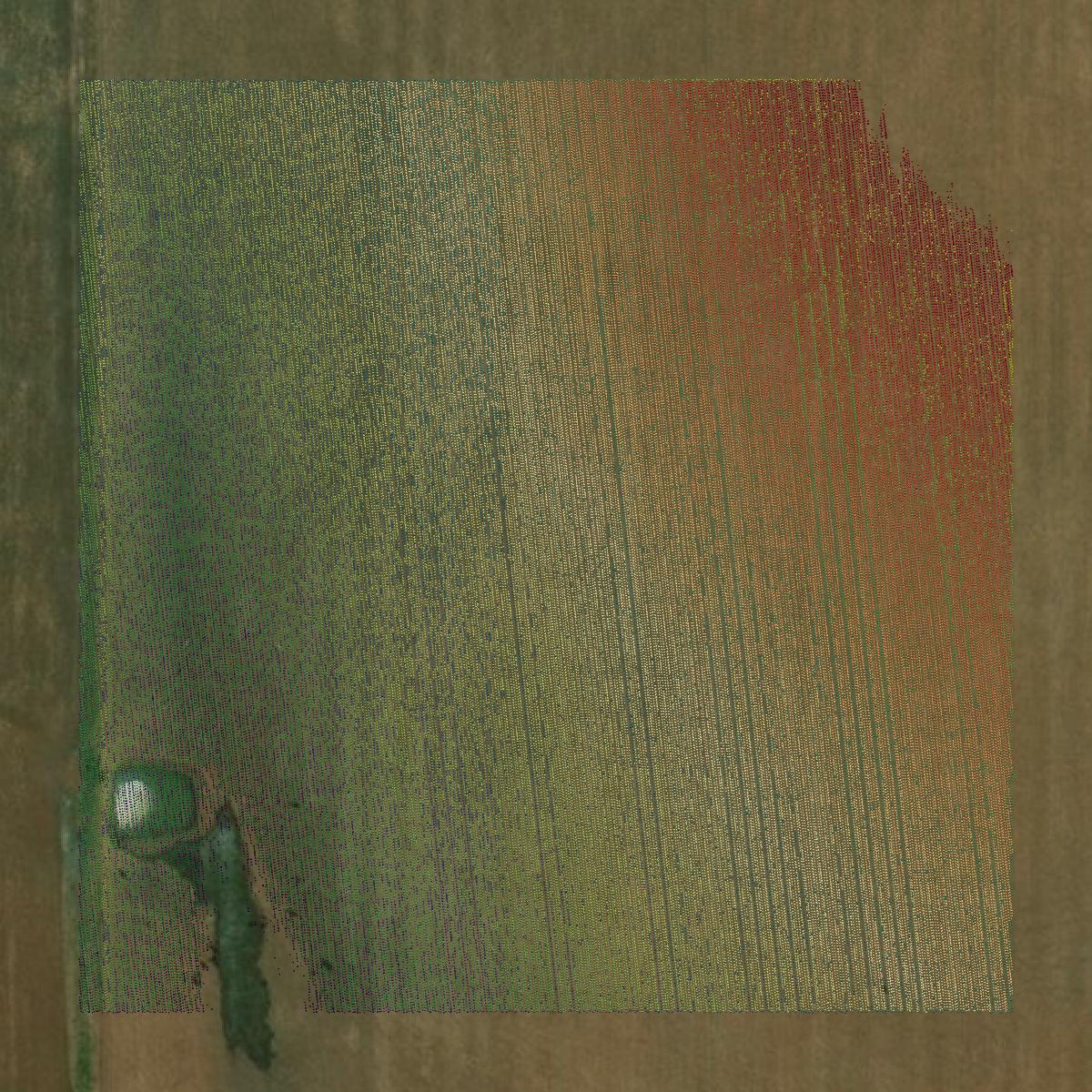 This image shows a LiDAR point cloud in Briscoe County created using GIS data in Equator.