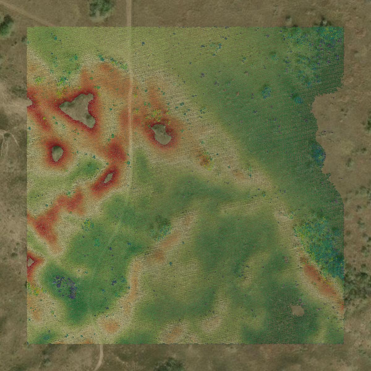 This image shows a LiDAR point cloud in Brooks County created using GIS data in Equator.