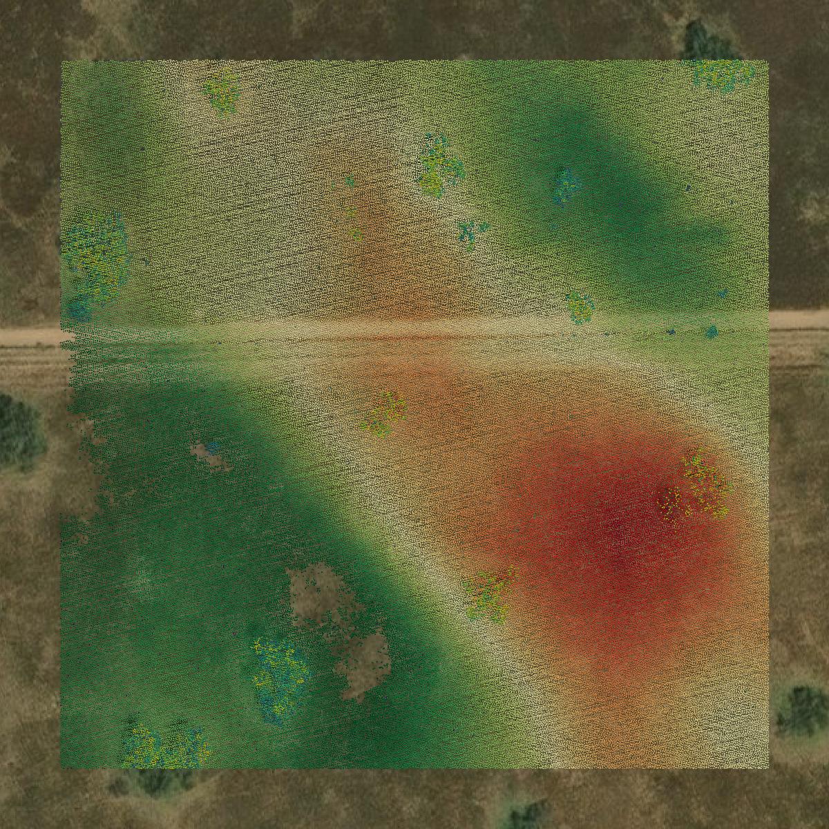 This image shows a LiDAR point cloud in Brooks County created using GIS data in Equator.