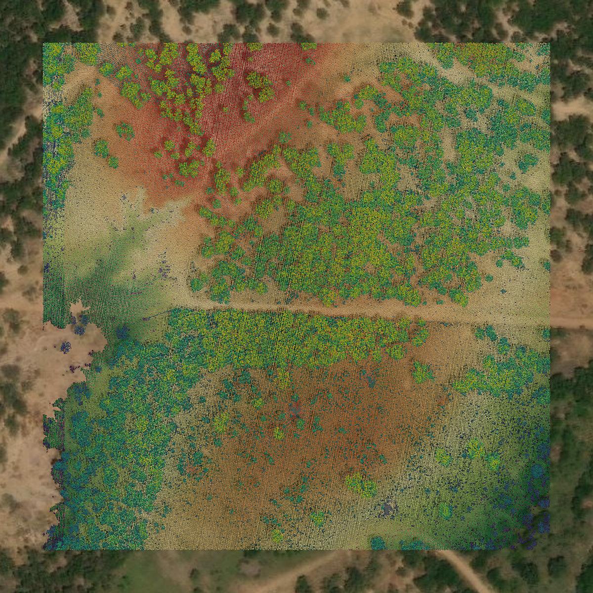 This image shows a LiDAR point cloud in Brown County created using GIS data in Equator.