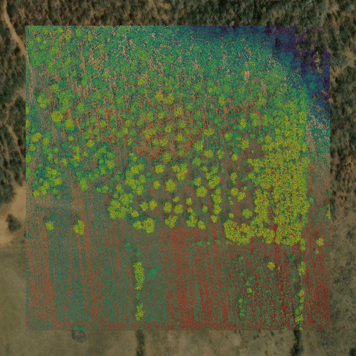 This image shows a LiDAR point cloud in Brown County created using GIS data in Equator.