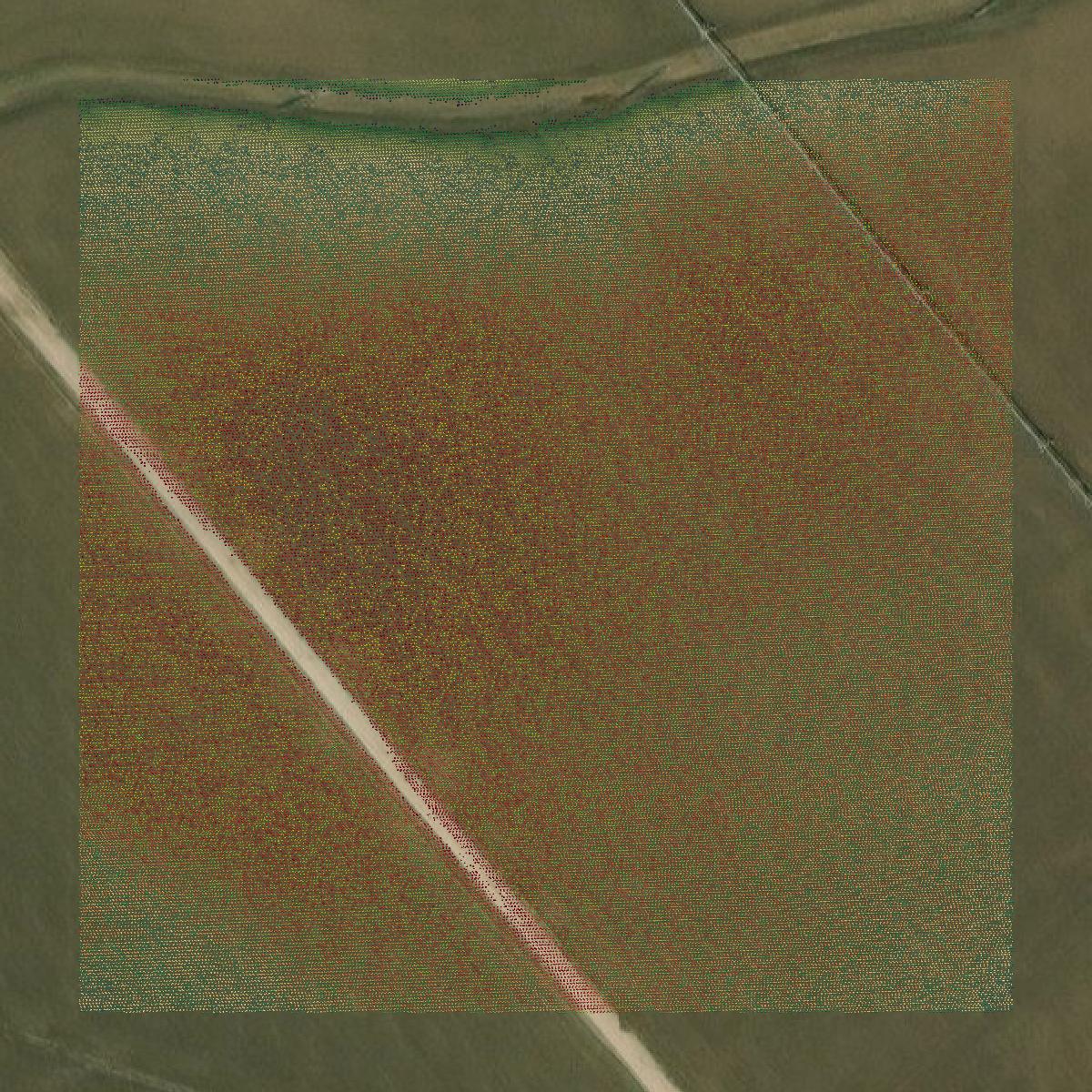 This image shows a LiDAR point cloud in Burleson County created using GIS data in Equator.