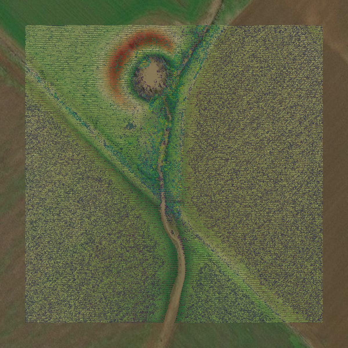 This image shows a LiDAR point cloud in Burleson County created using GIS data in Equator.