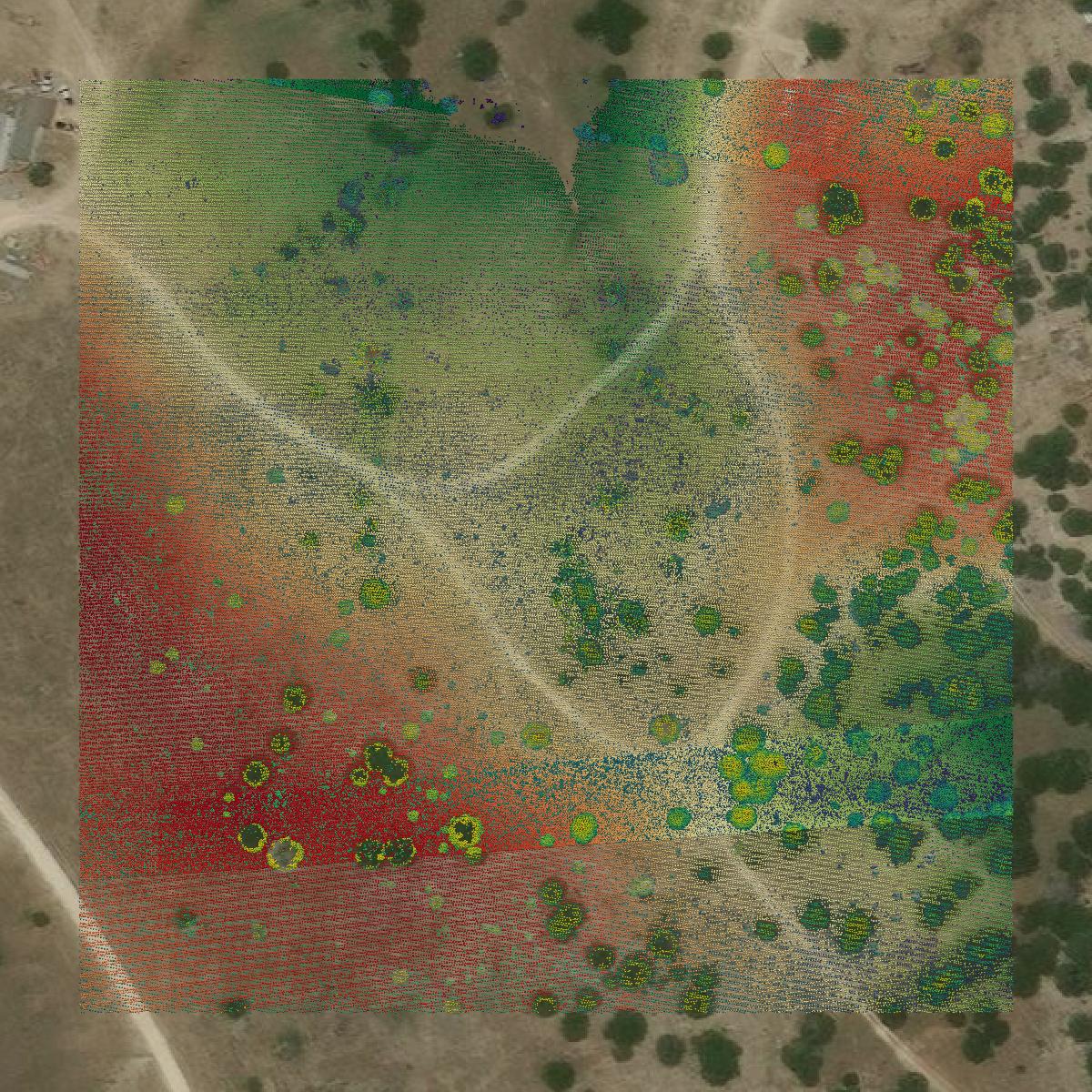 This image shows a LiDAR point cloud in Burnet County created using GIS data in Equator.
