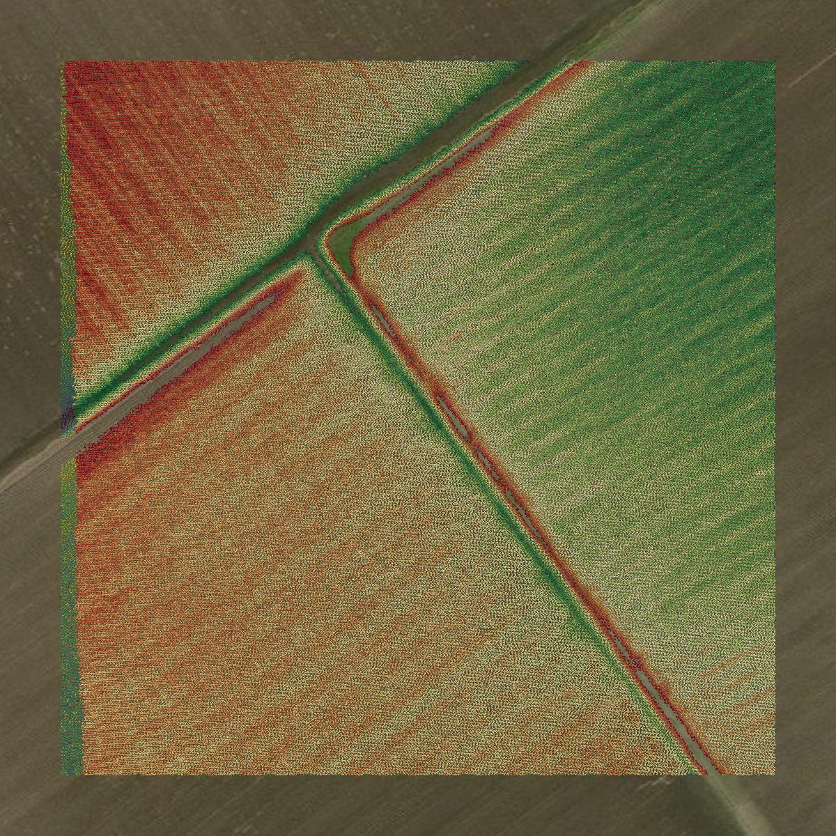 This image shows a LiDAR point cloud in Calhoun County created using GIS data in Equator.