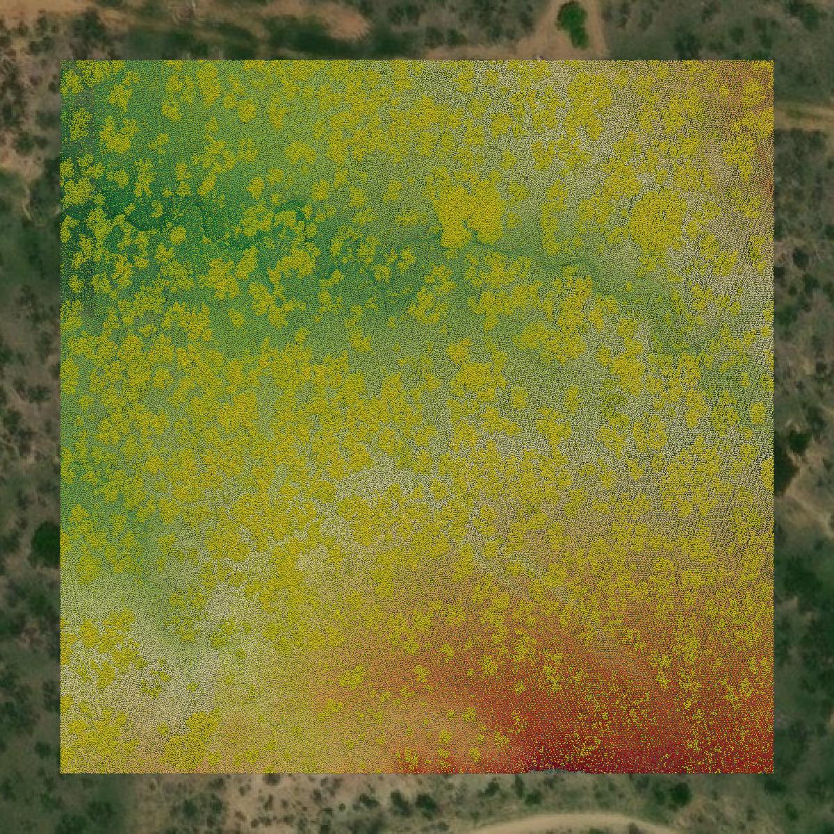 This image shows a LiDAR point cloud in Callahan County created using GIS data in Equator.
