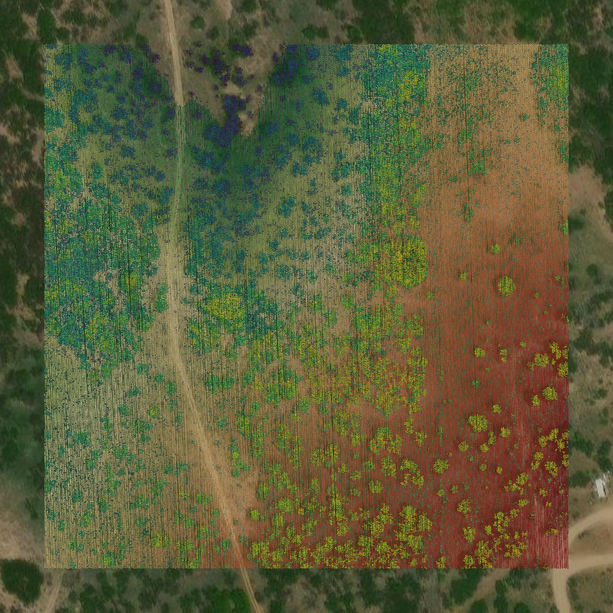 This image shows a LiDAR point cloud in Callahan County created using GIS data in Equator.