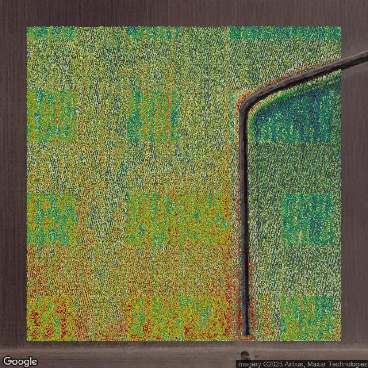 This image shows a LiDAR point cloud in Cameron County created using GIS data in Equator.