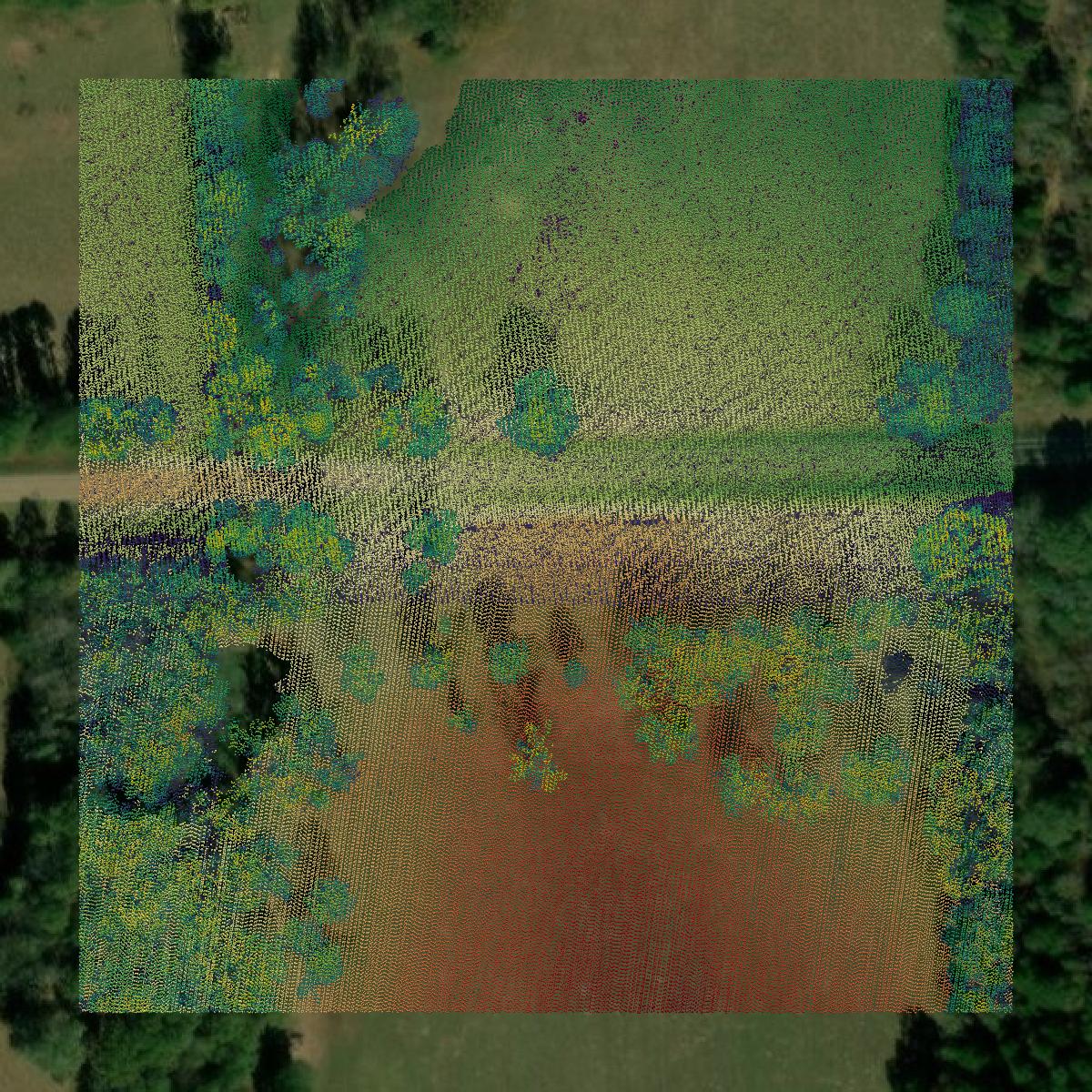 This image shows a LiDAR point cloud in Camp County created using GIS data in Equator.