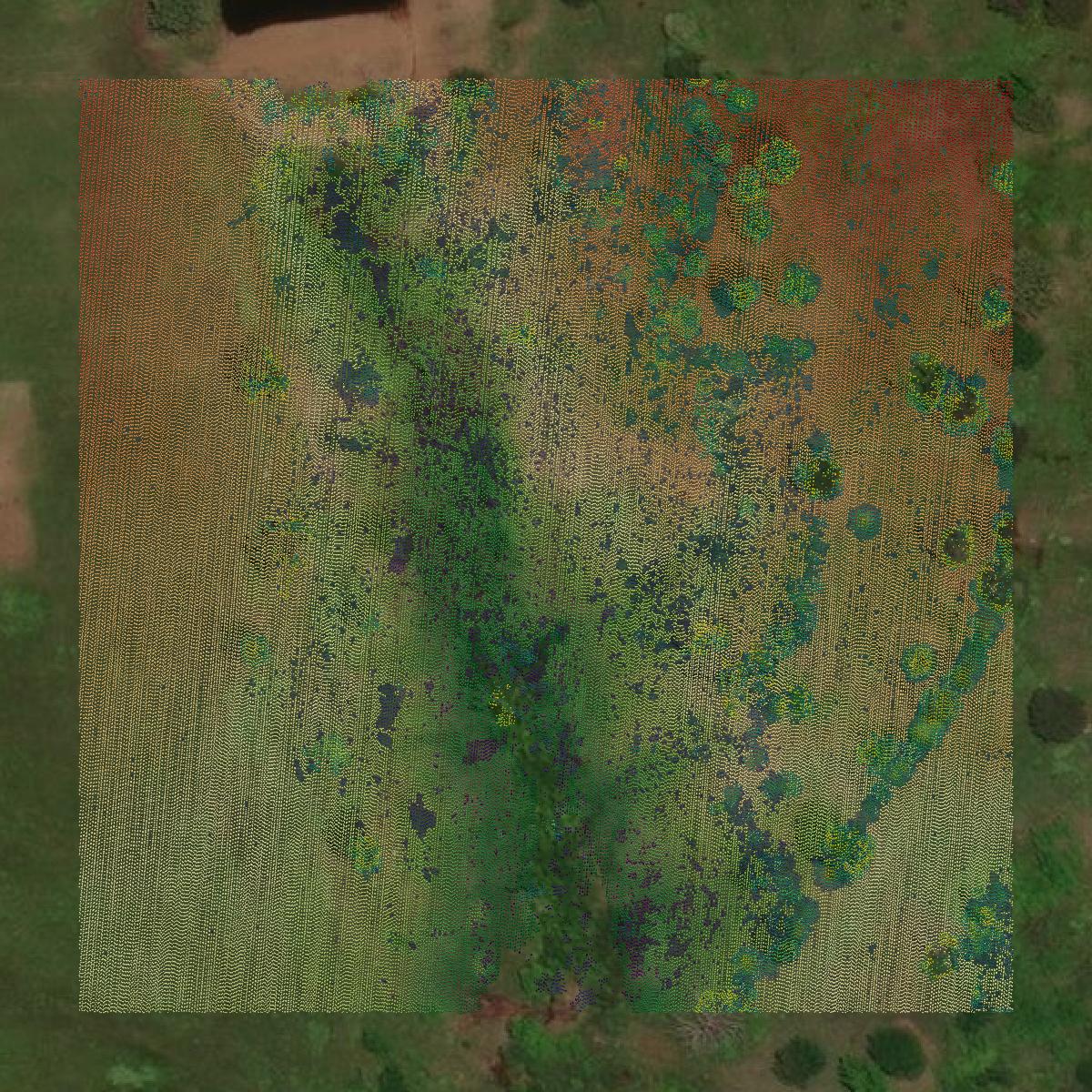 This image shows a LiDAR point cloud in Camp County created using GIS data in Equator.