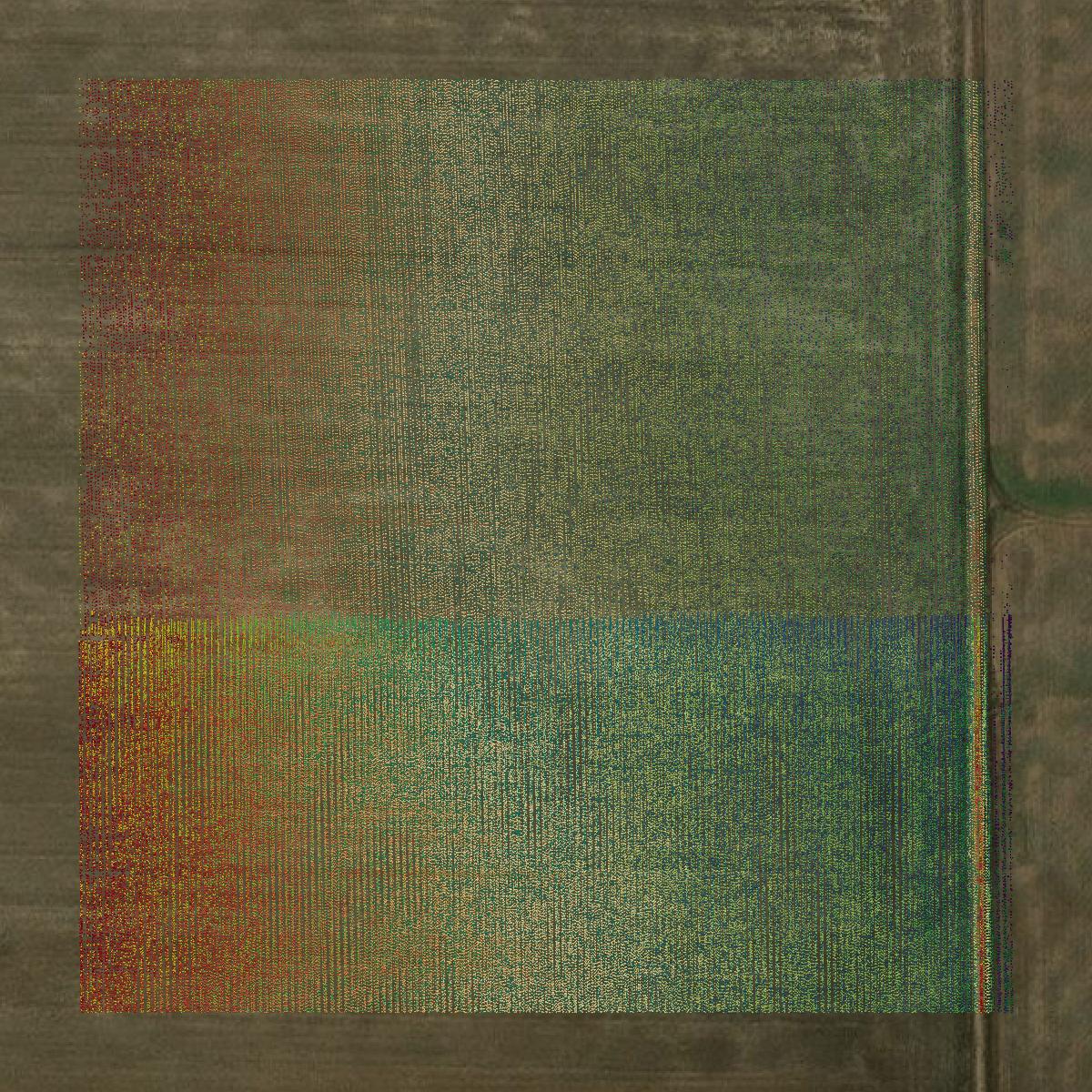 This image shows a LiDAR point cloud in Carson County created using GIS data in Equator.