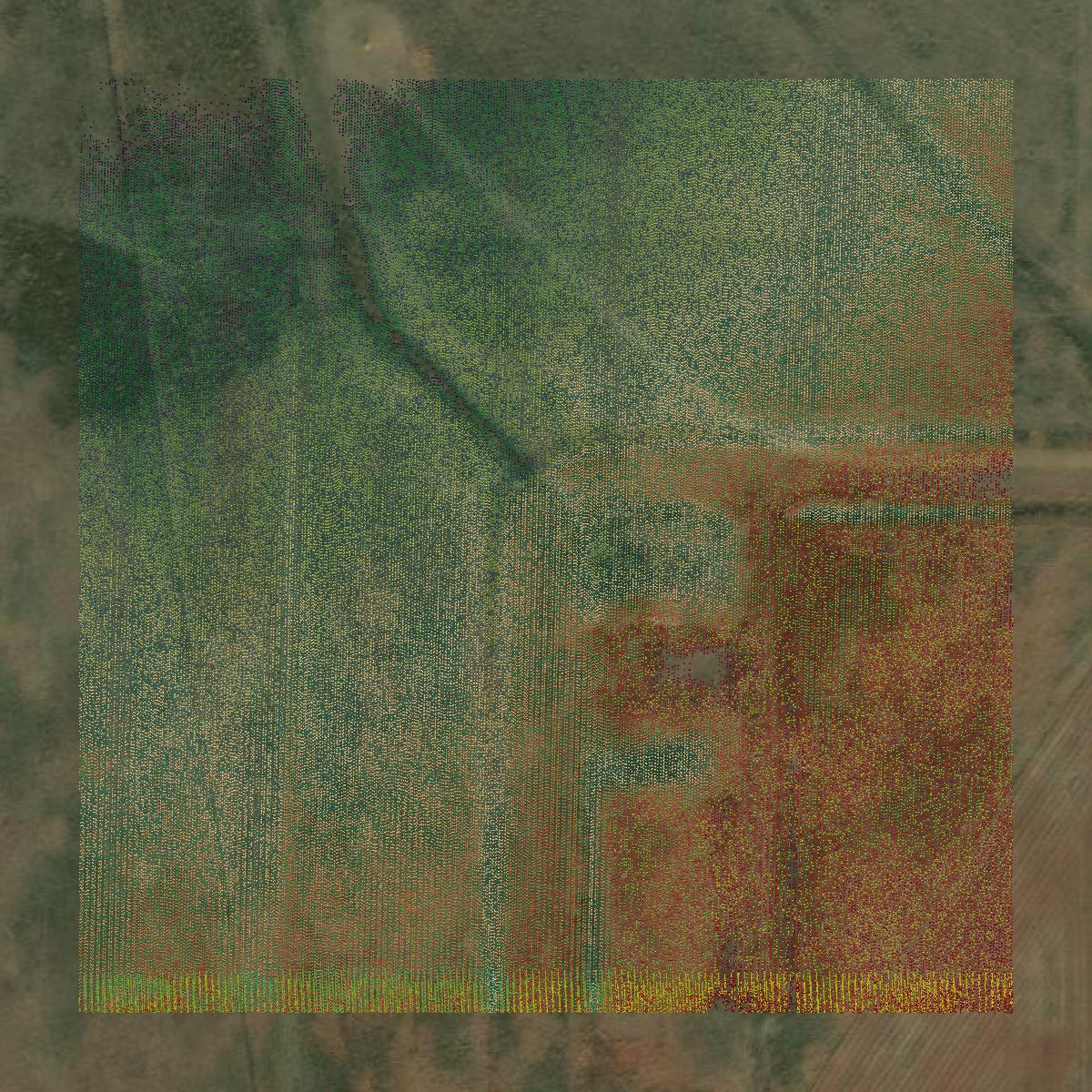 This image shows a LiDAR point cloud in Carson County created using GIS data in Equator.