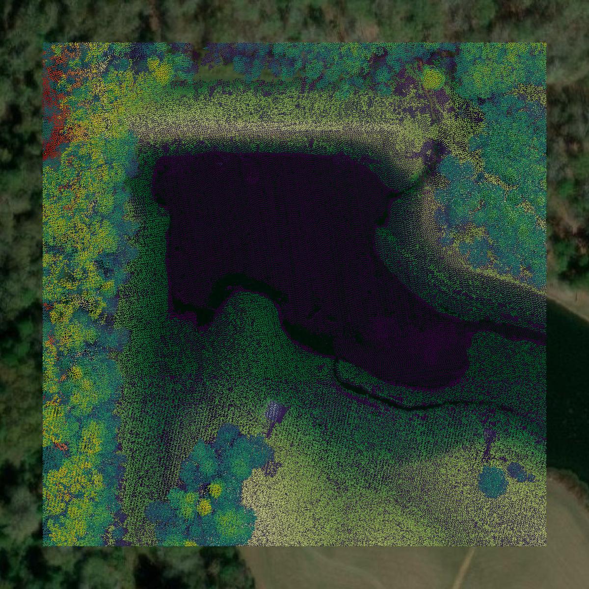 This image shows a LiDAR point cloud in Cass County created using GIS data in Equator.