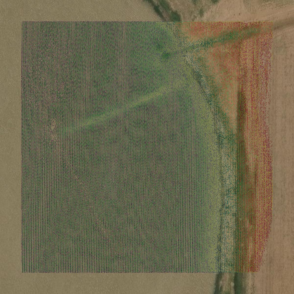 This image shows a LiDAR point cloud in Castro County created using GIS data in Equator.