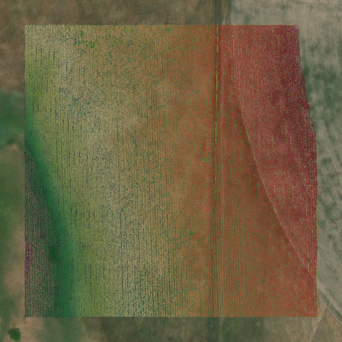 This image shows a LiDAR point cloud in Castro County created using GIS data in Equator.