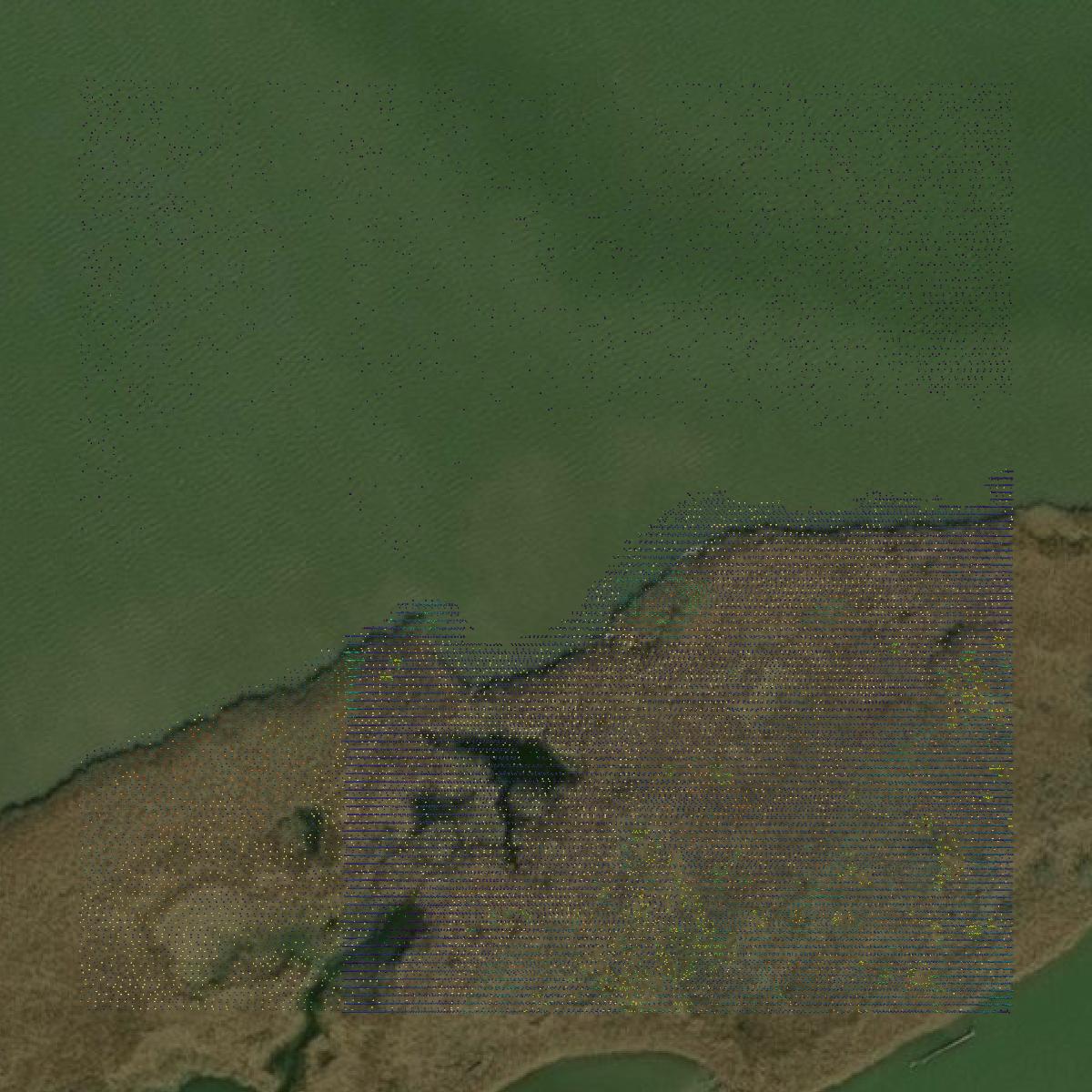 This image shows a LiDAR point cloud in Chambers County created using GIS data in Equator.