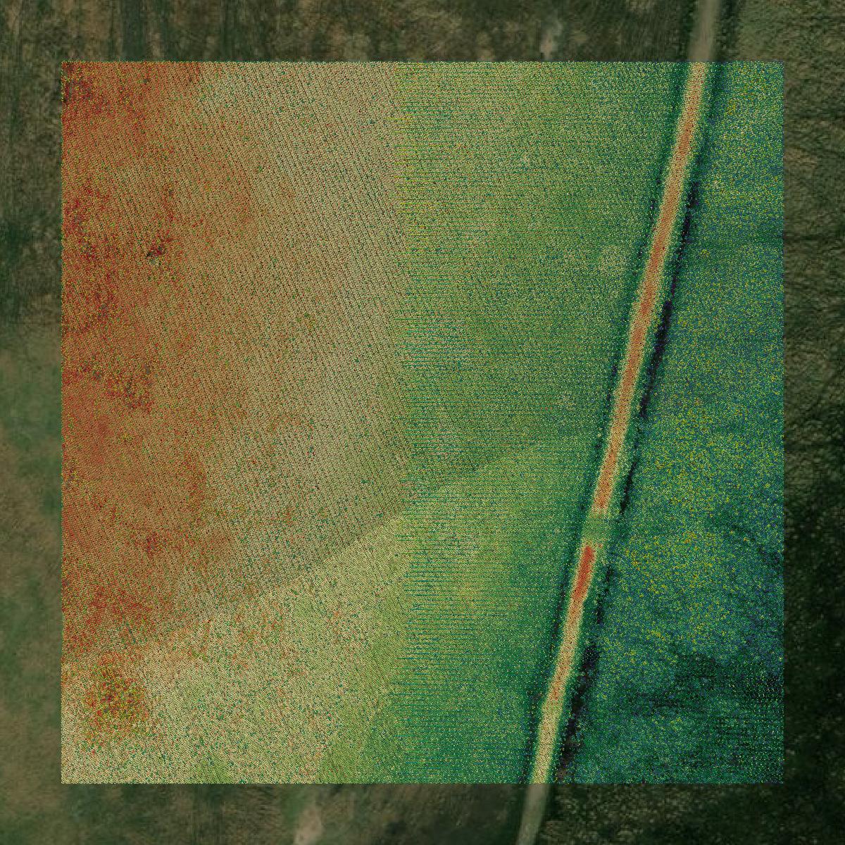 This image shows a LiDAR point cloud in Chambers County created using GIS data in Equator.