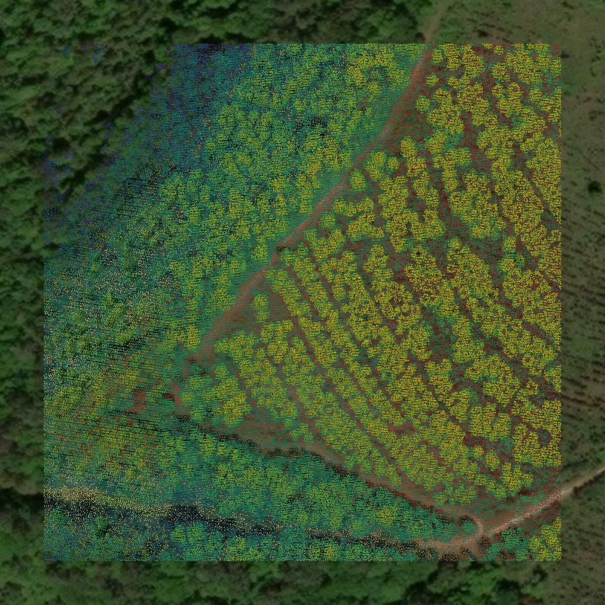 This image shows a LiDAR point cloud in Cherokee County created using GIS data in Equator.