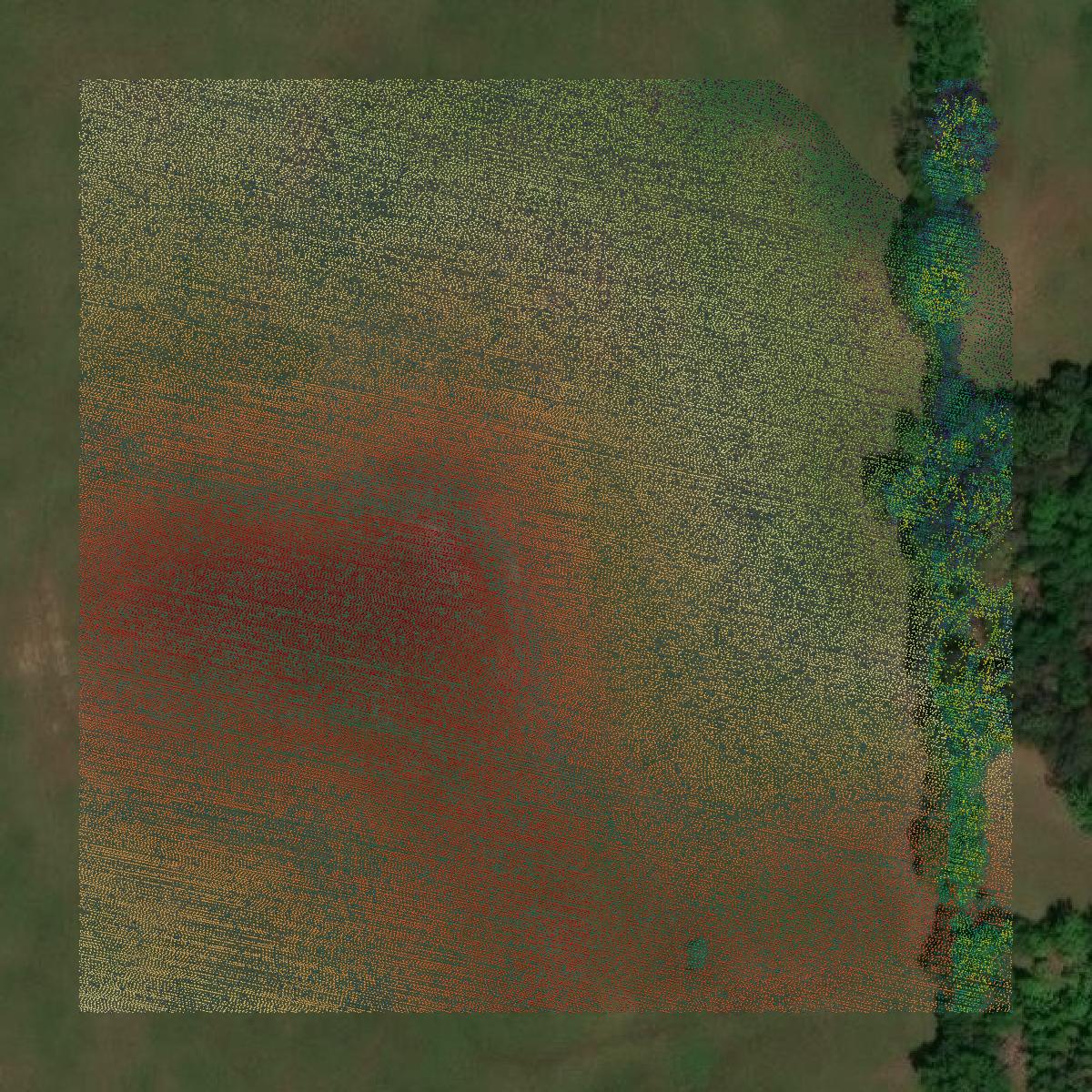 This image shows a LiDAR point cloud in Cherokee County created using GIS data in Equator.