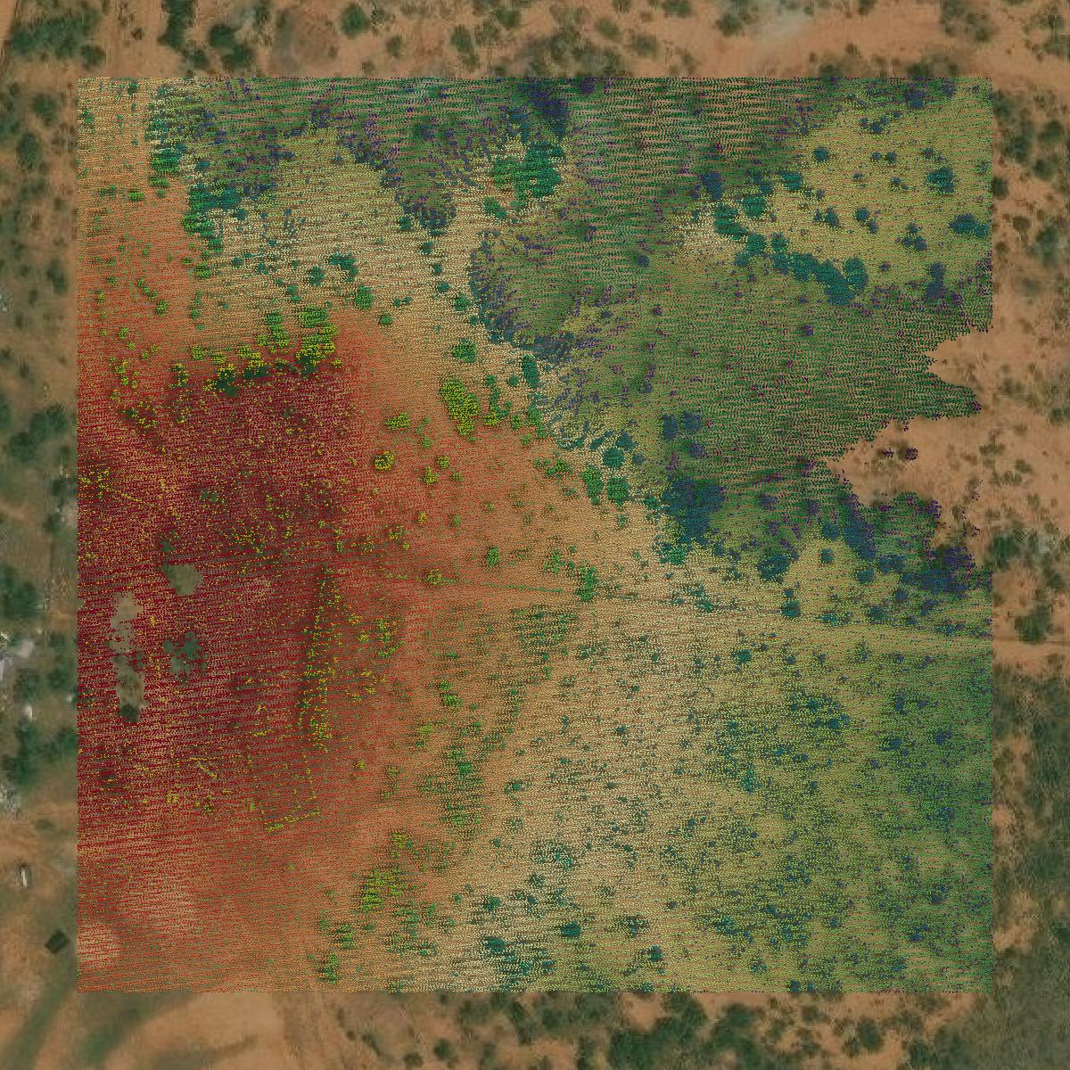 This image shows a LiDAR point cloud in Childress County created using GIS data in Equator.