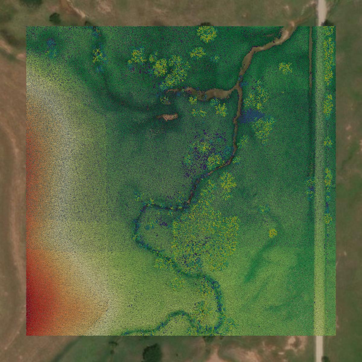 This image shows a LiDAR point cloud in Clay County created using GIS data in Equator.