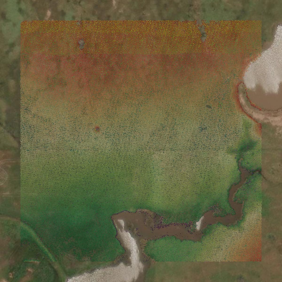 This image shows a LiDAR point cloud in Clay County created using GIS data in Equator.