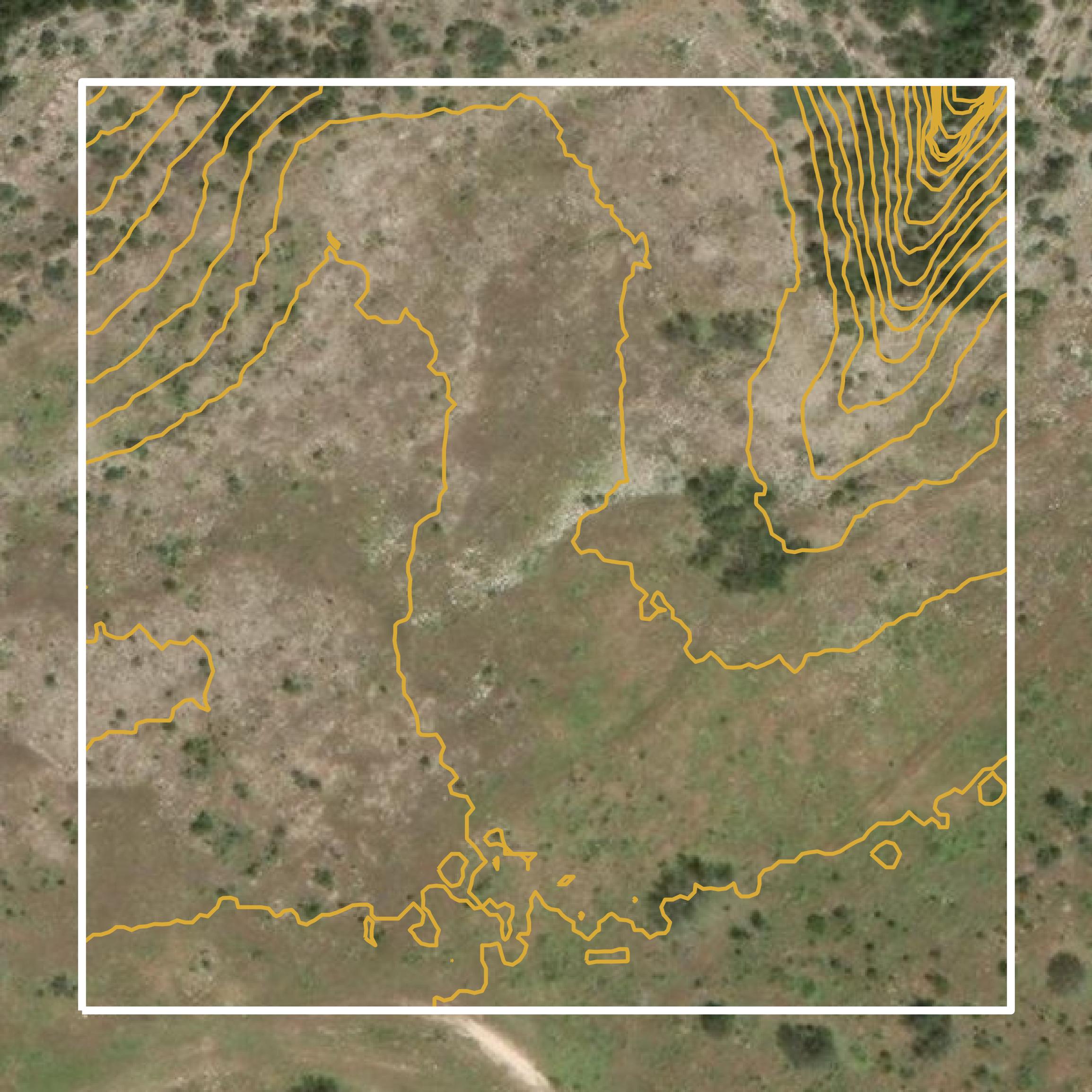 This image shows a contour map in Coke County created using GIS data in Equator.
