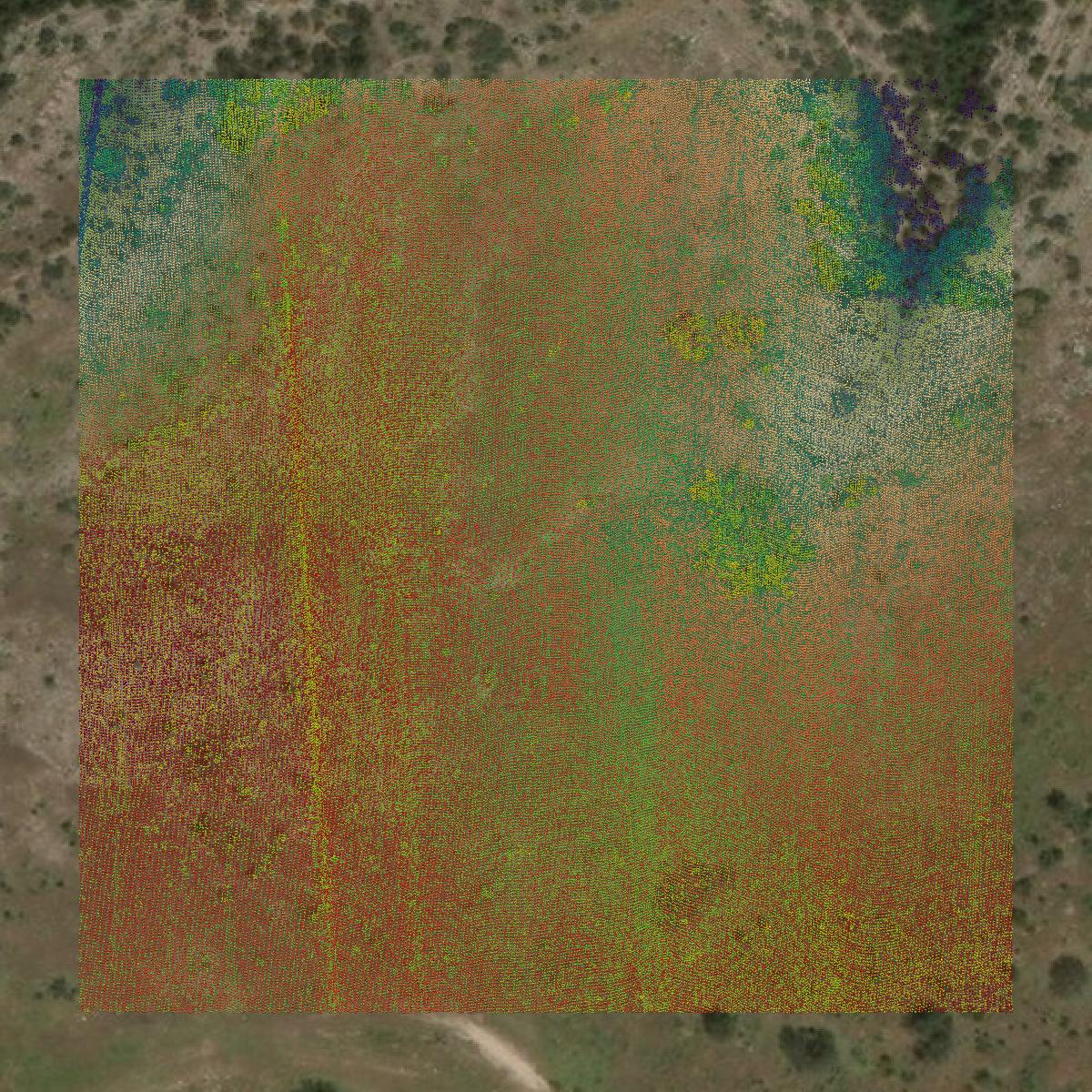 This image shows a LiDAR point cloud in Coke County created using GIS data in Equator.