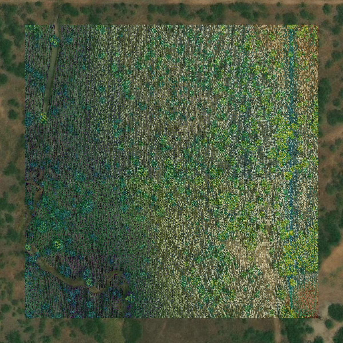 This image shows a LiDAR point cloud in Coleman County created using GIS data in Equator.