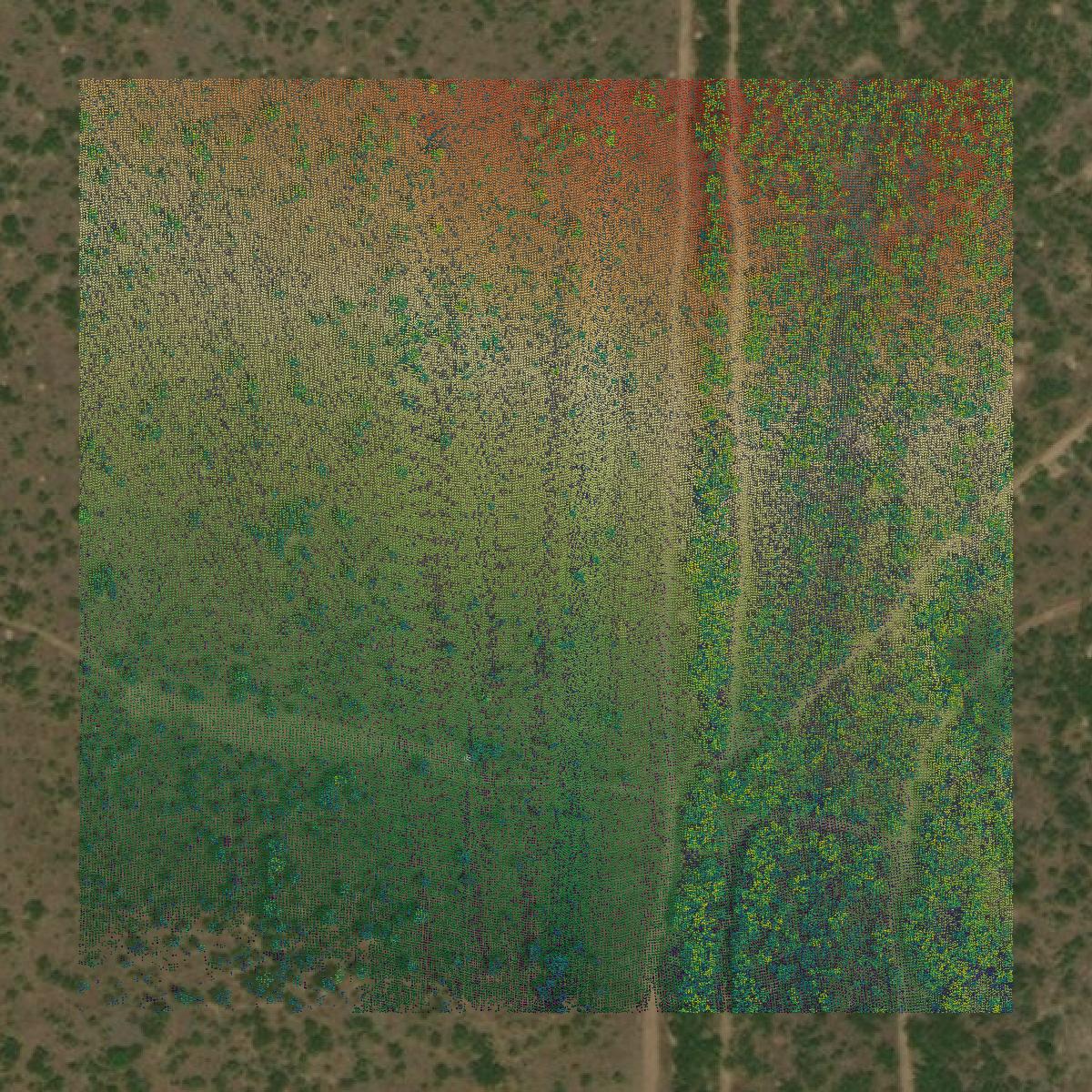 This image shows a LiDAR point cloud in Coleman County created using GIS data in Equator.