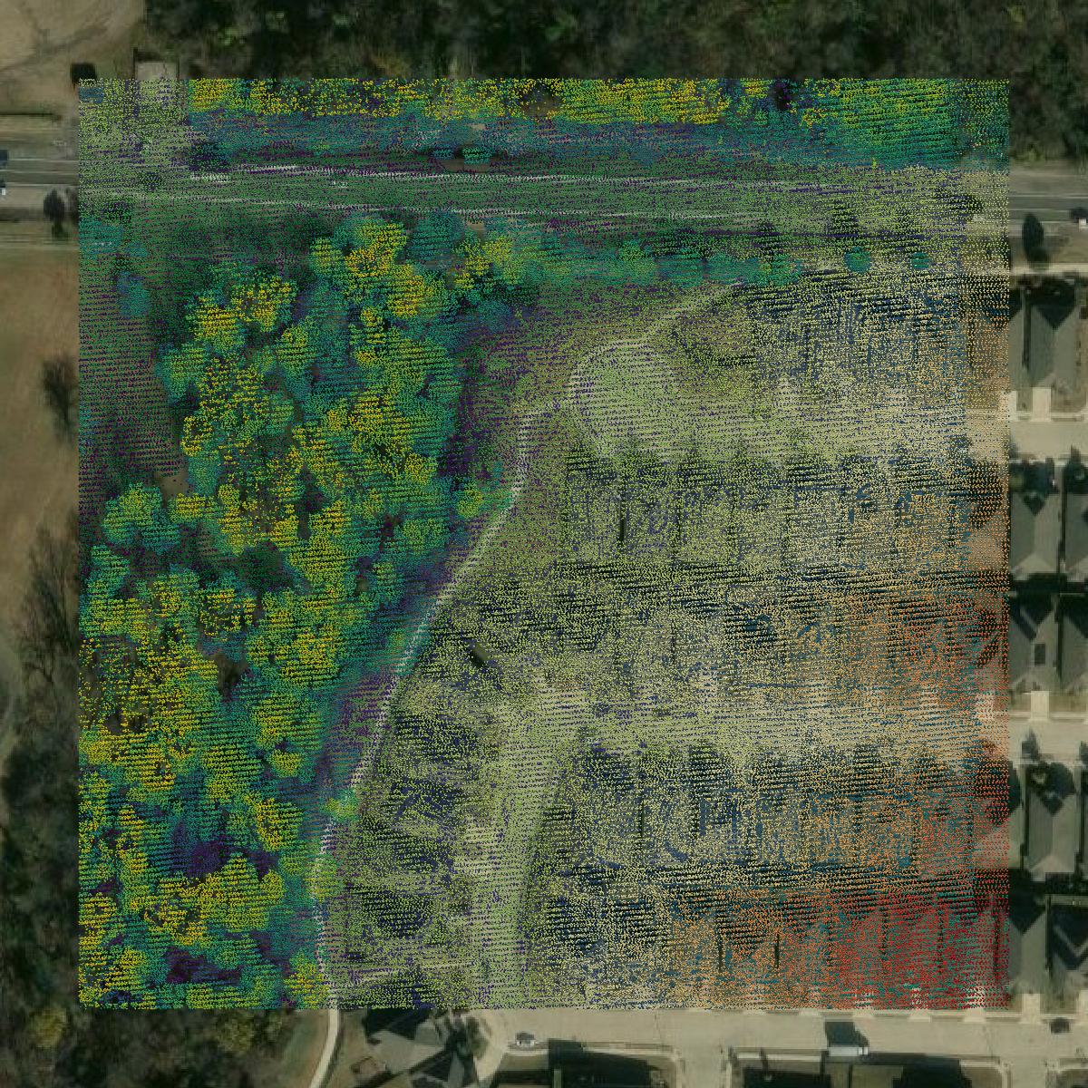 This image shows a LiDAR point cloud in Collin County created using GIS data in Equator.