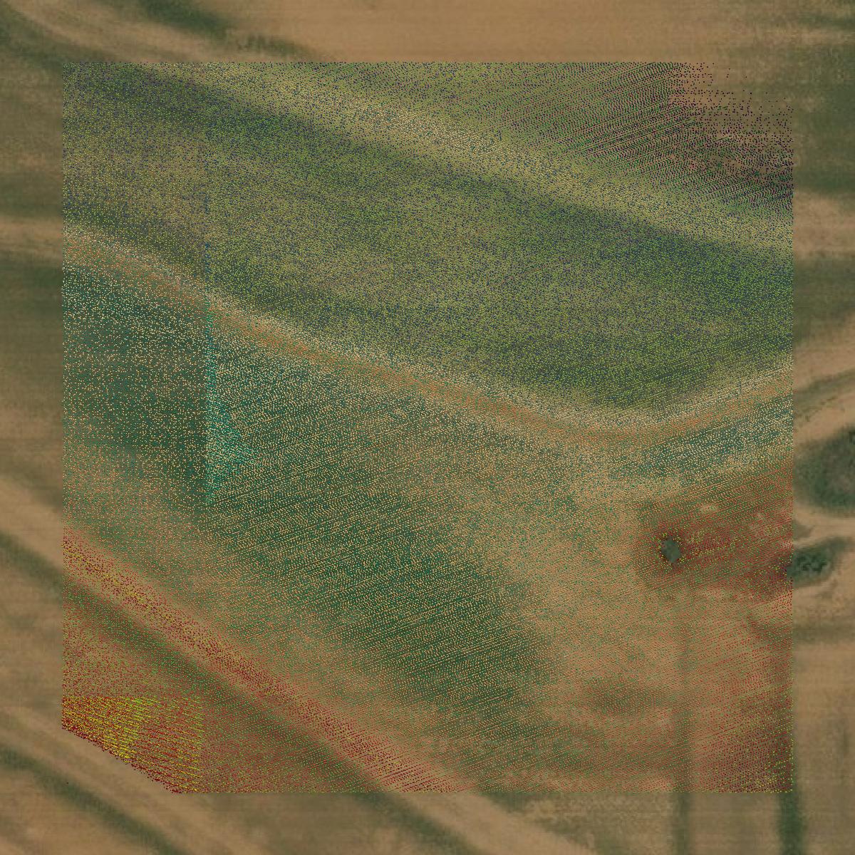 This image shows a LiDAR point cloud in Collingsworth County created using GIS data in Equator.