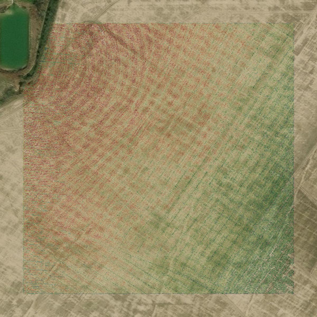 This image shows a LiDAR point cloud in Colorado County created using GIS data in Equator.