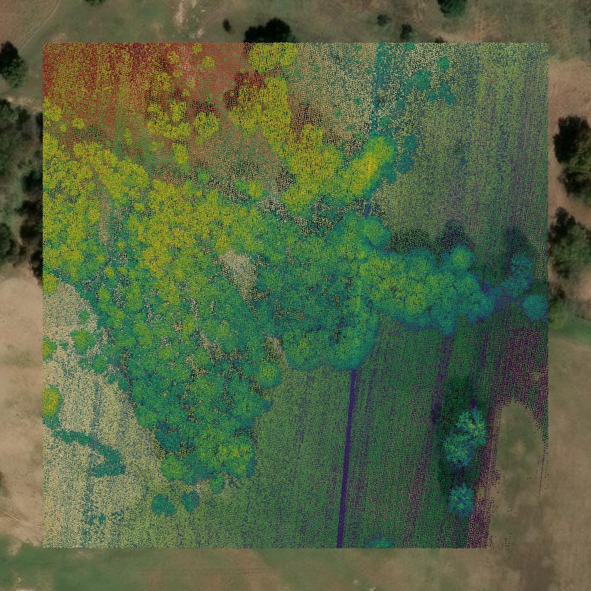 This image shows a LiDAR point cloud in Comanche County created using GIS data in Equator.