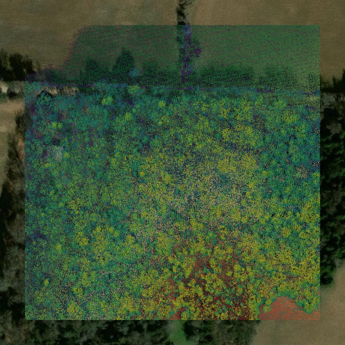 This image shows a LiDAR point cloud in Cooke County created using GIS data in Equator.