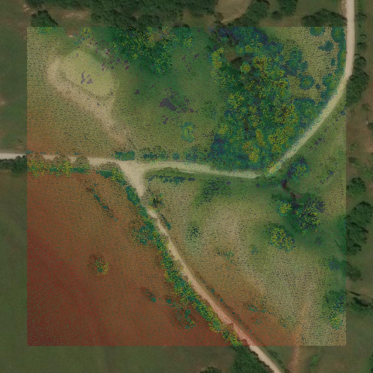 This image shows a LiDAR point cloud in Cooke County created using GIS data in Equator.